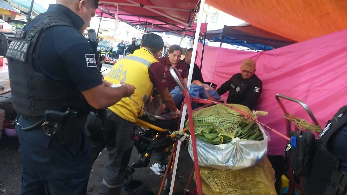 tianguis Popular Coatepec